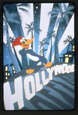 The Woody Woodpecker Show Animation Hollywood Sign Original 35mm Transparency  picture