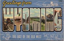 WYOMING Large Letter Postcard 