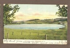 VINTAGE POSTCARD 1907 WILBER LAKE ONEONTA NEW YORK picture
