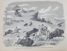 Frank Leslie's 5/16/1857  Buffalo Hunting Colt vs Bow and Area /  Murder Trial picture