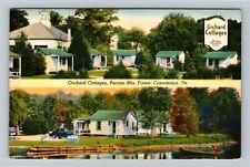 Canadensis PA-Pennsylvania, Orchard Cottages, Antique Vintage Souvenir Postcard picture
