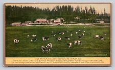 c1915 Carnation Stock Farm Milk Dairy Contented Cows Grazing Advertising P764 picture