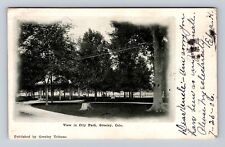 Greeley CO-Colorado, Scenic View in City Park, Antique Vintage Souvenir Postcard picture