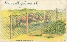 We Can't Get Over It Funny Pig Comic Milton, PA Fair Souvenir - 1908 VTG PC picture