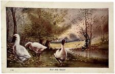 Antique Postcard PMK 1911 ATF Co FAT & SAUCY Geese on Riverbank Autumn No. 112 picture