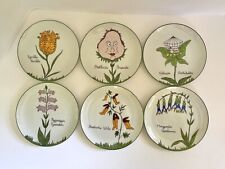 6 Vintage Scully & Scully New York Bontanical “Nonsense” Whimsical 7.5+” Plates picture