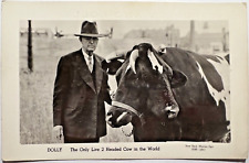 TWO HEADED COW DOLLY Info Card 1939 New York Worlds Fair J Elvin Thompson C8 picture