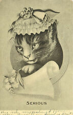Vintage Postcard Tabby Cat Wearing Hat Portrait Vignette Serious picture