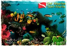 Tropical Fish Sint Maarten Saint Martin French West Indies Postcard picture