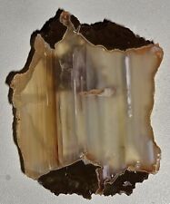 Priday plume/moss Agate slab Unpolished Oregon 37 Grams picture