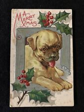 *Cute Puppy Dog with Holly* Vintage~Embossed Christmas Postcard Boxer Unposted picture
