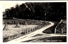 Pike County Illinois Autumn In Pike County Chrome Postcard Black & White picture