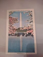 Washington Monument Cherry Blossom Spring Washington DC picture