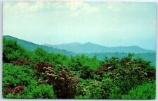 Postcard - Flame Azalea Atop Gregory Bald, Great Smoky Mts. National Park, NC picture