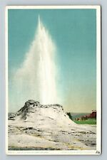 Yellowstone Park WY-Wyoming, Castle Geyser Vintage Souvenir Postcard picture