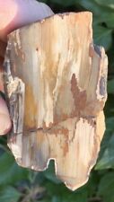 ☘️RR⚒: Polished Petrified Wood Triangle, McDermitt Oregon, 11.3 Oz picture