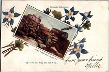 Pikes Peak, Railway, Mule, Columbine, State Flower, Colorado CO 1907 Postcard picture