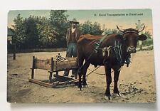 Rural Transportation in Dixie Land, Bull Drawing a Wooden Sled Vintage Postcard picture
