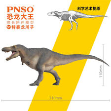 PNSO 51 Tarbosaurus Chuanzi Model Tyrannosaurus Dinosaur Animal Collection Decor picture