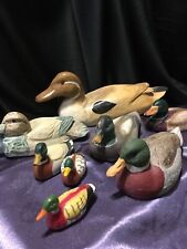 Crazy Lot of Kooky Ducks picture