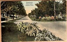 Omaha Nebraska Woolworth Boulevard Street View Antique Postcard c1910 picture