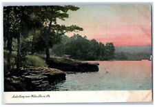 Wilkes-Barre Pennsylvania PA Postcard Lake Carey Scenic View Trees Sunset c1905 picture
