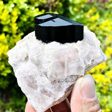 435g Top natural black tourmaline quartz crystal mineral specimen picture