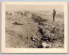 WW2 Photo MANY DEAD Japanese Soldiers World War Two Photograph vintage military picture