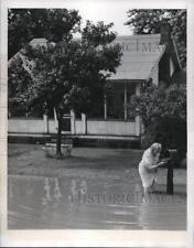 1947 Press Photo Blanche Kaufman Checks Mailbox During Flood In North Dupo picture