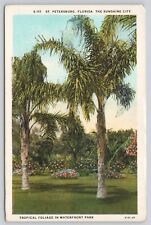 Postcard FL St Petersburg Tropical Foliage In Waterfront Park picture