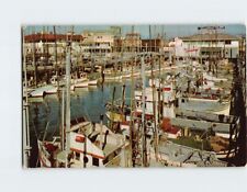 Postcard Fishing Fleet San Francisco California USA picture