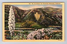 San Bernardino Mountains CA-California, The Arrowhead, Antique Vintage Postcard picture