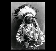 Chief Red Cloud Holding Peace Pipe PHOTO Portrait Oglala Lakota Indian picture