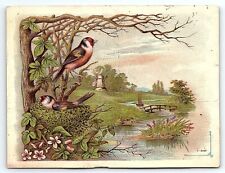 c1880 DR. HENNIG'S SARSAPARILLA BIRDS WINDMILL STREAM VICTORIAN TRADE CARD Z4098 picture