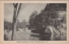Coxen Swimming Pool, Rosendale, New York Postcard picture
