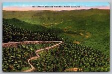 North Carolina Craggy Gardens Highway Scenic Mountain Landscape DB Postcard picture