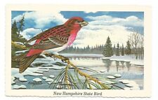 Purple Finch New Hampshire State Bird NH Postcard  picture