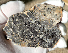 LUNAR Meteorite NWA 15373 Fragmental Breccia 1 of 29 Huge FULL 32.5g Moon Slice picture