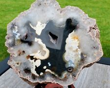 Large Polished Agate Nodule picture