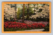Norfolk VA-Virginia, Azalea Gardens, Antique, Vintage Souvenir Postcard picture