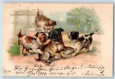 Hungary Postcard Puppy Dog Playing Animal 1907 Posted Antique picture