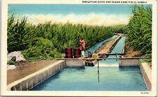 c1940s Postcard Hawaii Sugar Cane Field Irrigation Ditch picture