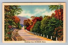 Jackman ME-Maine, Scenic Greetings, Falls, Vintage Postcard picture