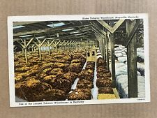 Postcard Maysville KY Kentucky Home Tobacco Warehouse Vintage PC picture