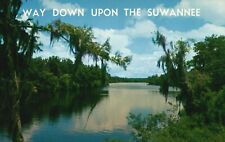 Postcard FL Way Down Upon the Suwannee River Live Oaks Chrome Vintage PC G4385 picture
