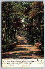 Bridle Path Wissahickon Philadelphia Pennsylvania PA Vintage Postcard E11 picture