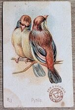 1898 J2a AH501 Church & Co Arm & Hammer Beautiful Birds SMALL #13 Pytila picture
