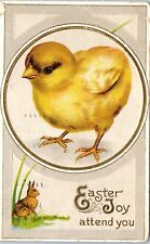 Easter Joy Attend You, Little Chick and Rabbit Embossed Postcard c1913 picture