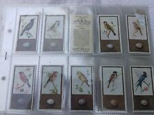 Godfrey Phillips British Birds and Their Eggs Tobacco Stamps Complete Set of 50 picture