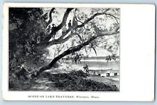 Wheaton Minnesota MN Postcard Scene Lake Traverse Exterior c1910 Vintage Antique picture